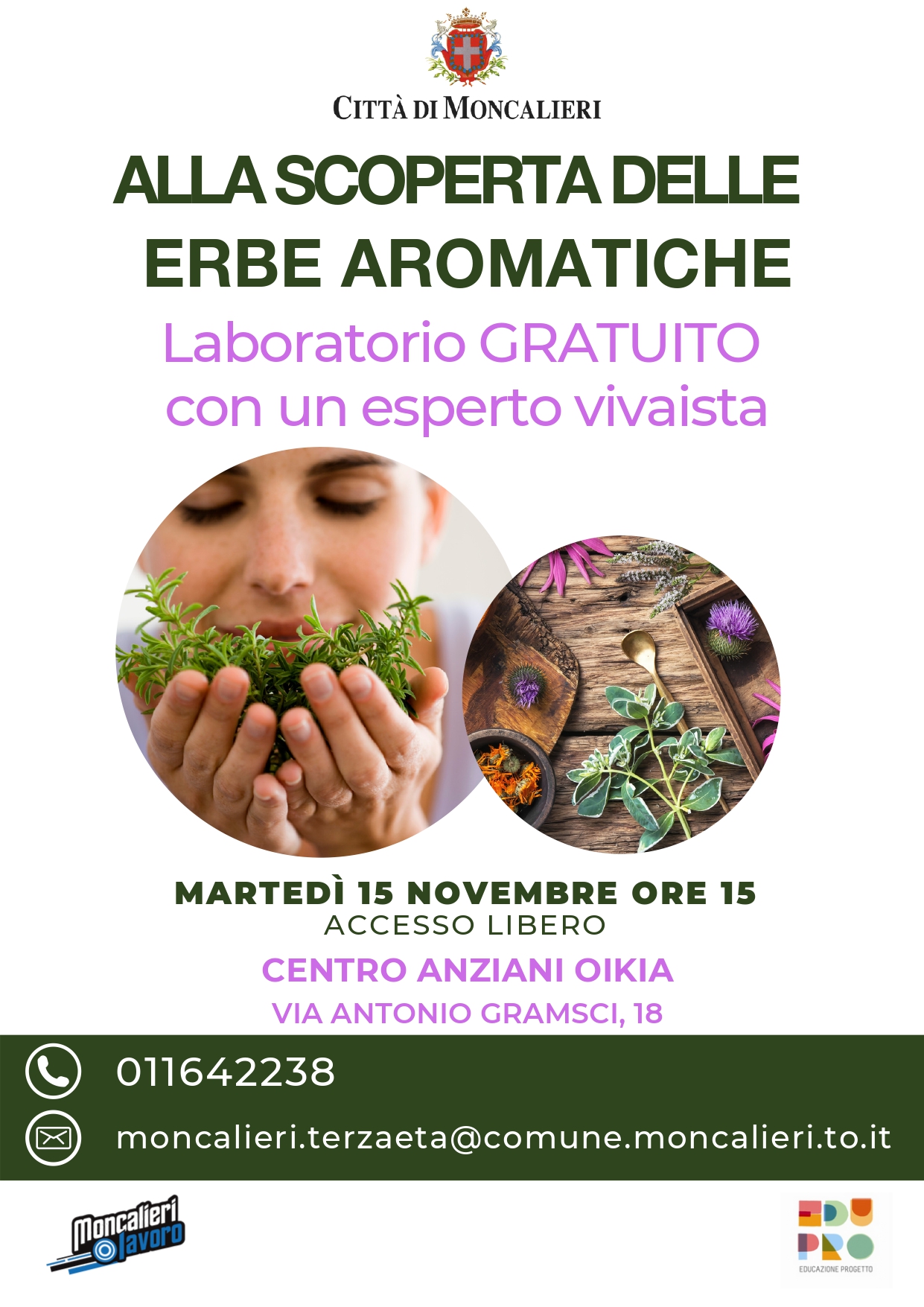 Mistichella - Erbe Aromatiche abruzzesi